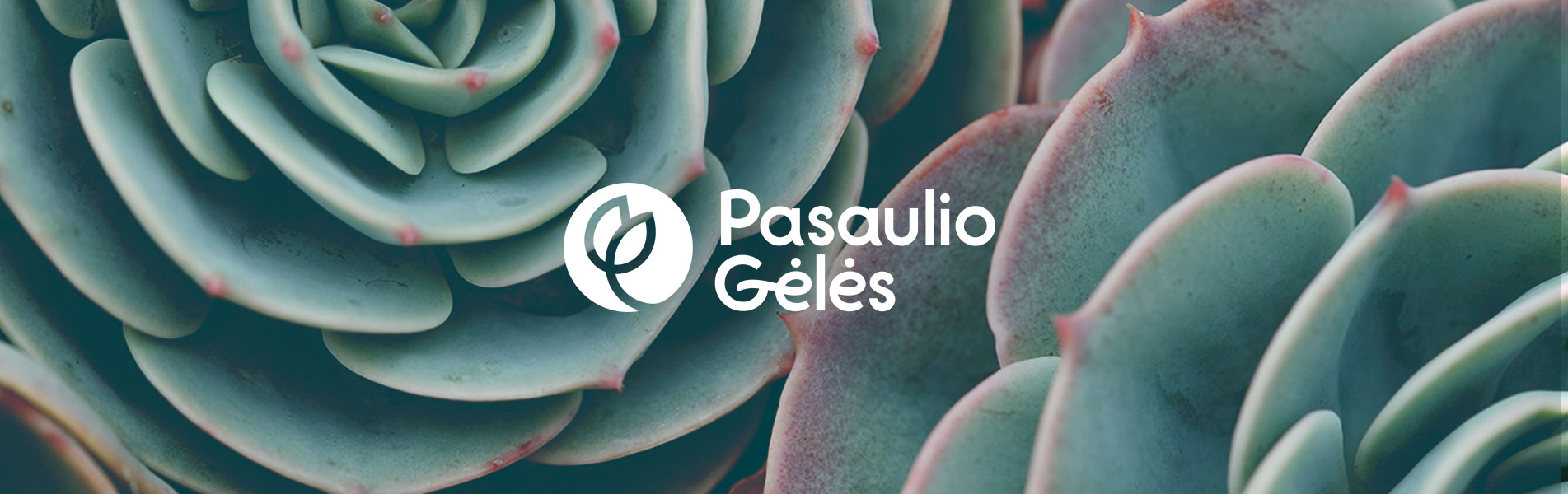 Pasaulio gėlės